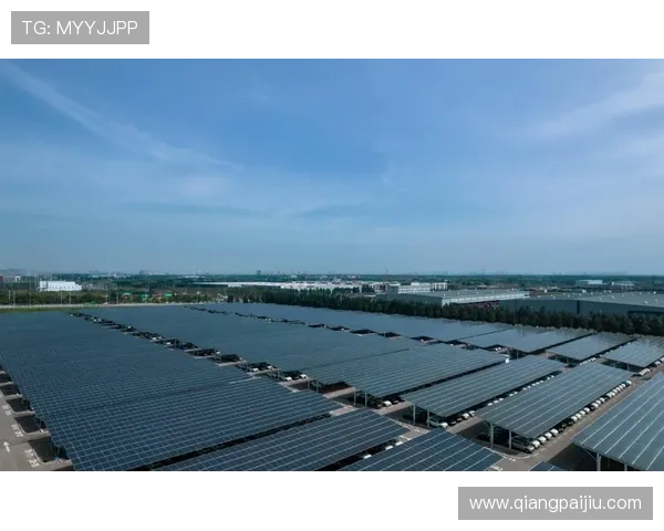 马来西亚吉隆坡云顶集团的社会责任与可持续发展实践经验分享